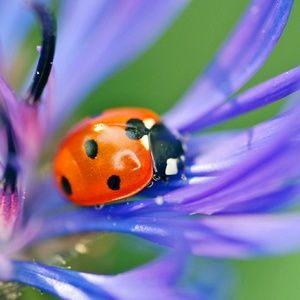 Meet your Posher, Heidi